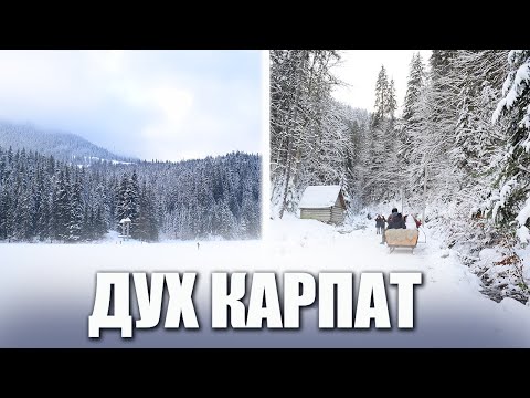 Видео: Дух Карпат Документальный фильм 2022