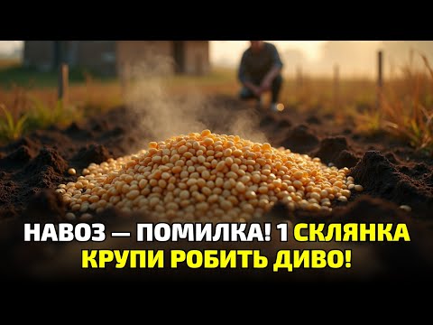 Видео: Не сип гній! Старий сільський спосіб із крупою творить дива — земля оживає за одну зиму!