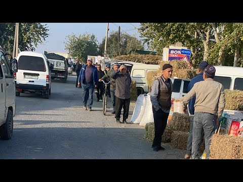 Видео: Олтиариқ Эскиараб дехқон бозори