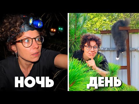 Видео: СЛЕЖКА ЗА КОШКОЙ 24 ЧАСА! ЧТО СЛУЧИЛОСЬ НОЧЬЮ? ТУР ПО САДУ