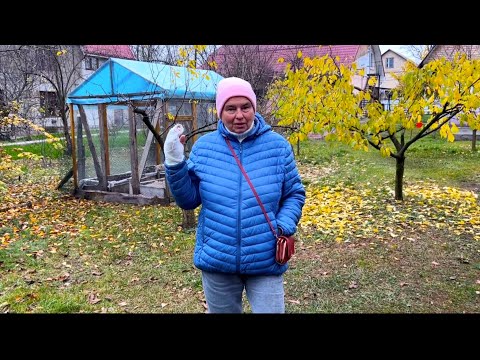 Видео: НАШИ НОВОСТИ. САМА СЕБЯ НАКАЗАЛА.