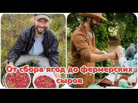 Видео: Как зарабатываю в деревне, приготовление фермерских сыров и сбор ягод.
