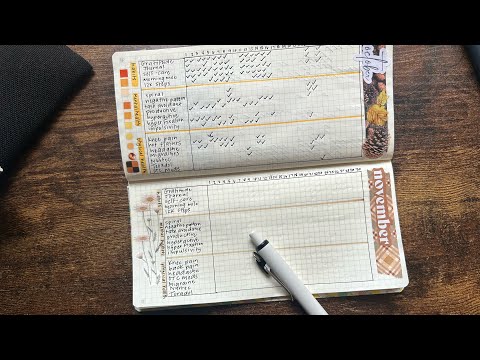 Видео: Ноябрь в моем планировщике здоровья и благополучия Hobonichi Weeks