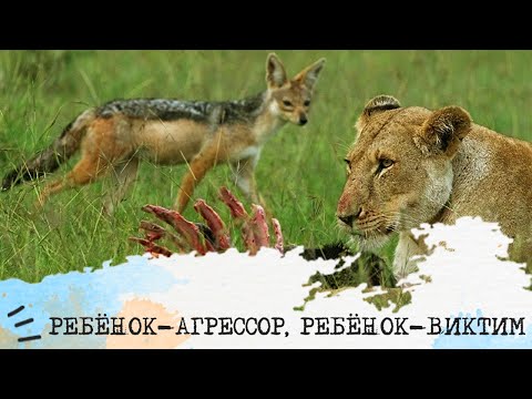 Видео: РЕБЕНОК-АГРЕССОР, РЕБЕНОК-ВИКТИМ