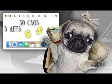 Видео: 50 новых слов за 7 дней | Проверка памяти