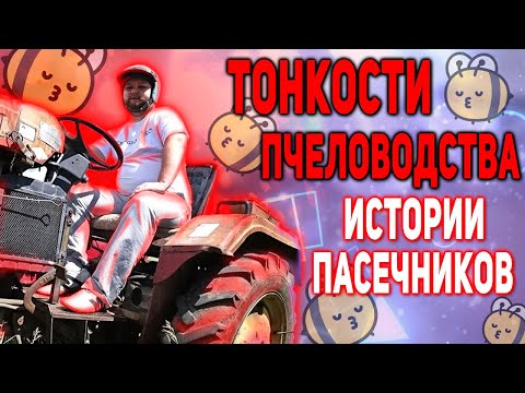 Видео: Пасека. УБЕГАЛ ОТ ПЧЕЛ!? Как проверить мед. Тонкости пчеловодства.
