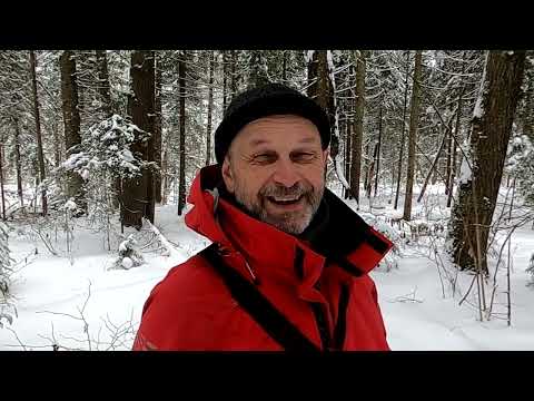 Видео: Декабрь.  Снег.  Одиночный ПВД