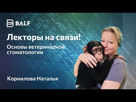 Видео: Как стать хорошим врачом-стоматологом?