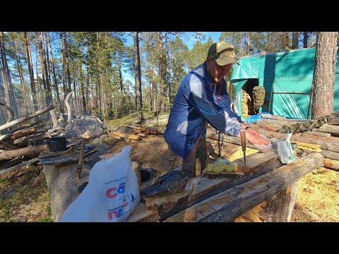 Видео: ТАЁЖНЫЙ БАЛАГАН. УХА ИЗ ЩУКИ. ГУСИ ОКОЛО ХИЖИНЫ. КОПАЮ МЕСТО ДЛЯ СБОРА ВОДЫ. ТАЁЖНОЕ КРЕСЛО. 5 часть