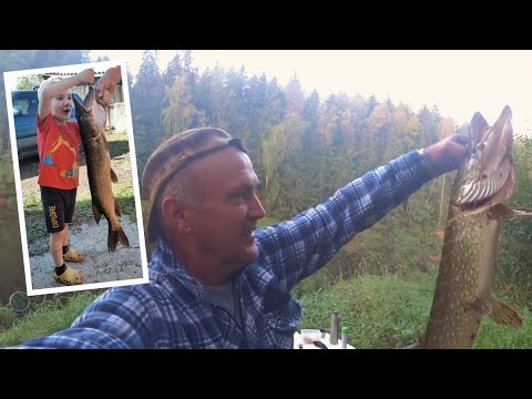 Видео: Трофейная Рыбалка. Поймал Огромную Щуку и Налима.