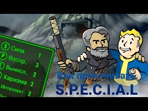 Видео: Что такое S.P.E.C.I.A.L. и как его прокачивать? - Полный Гайд
