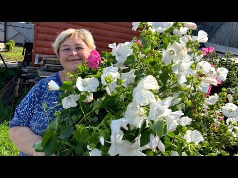 Видео: Дачные дела. Мои парни большие молодцы  убрали большое количество травы.