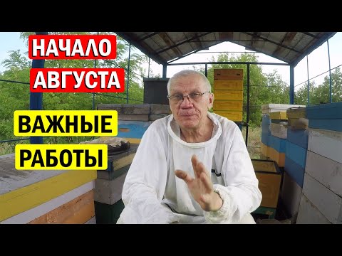 Видео: На пасеке в августе. Две матки в улье! Что Делать? Вопрос - Ответ.