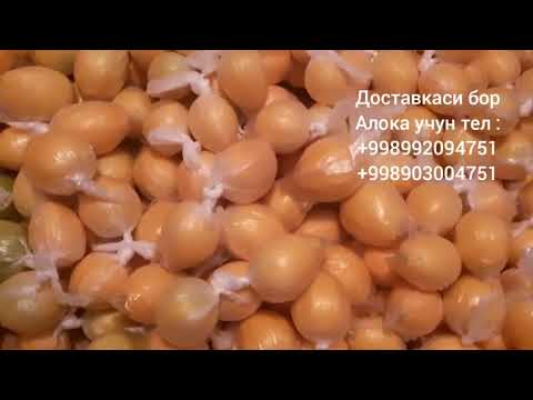 Видео: Лимонларни бахоргача саклаш...Кайси пайт лимон кучатини чикариш саволларга жавоблар..