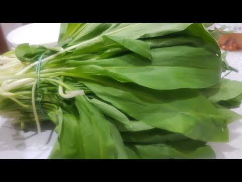 Видео: КРАСИВАЯ ПОРА ГОДА!! ОСЕТИНСКИЙ ПИРОГ С ЧЕРЕМШОЙ👍👍👍