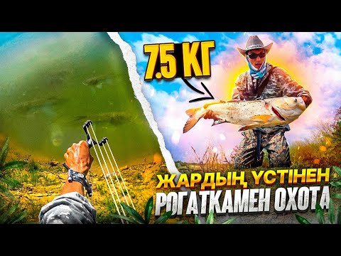 Видео: РЕКОРД ЖАҢАРДЫ !!!  ЖАРДЫҢ ҮСТІНЕН РОГАТКАМЕН БАЛЫҚ АУЛАУ