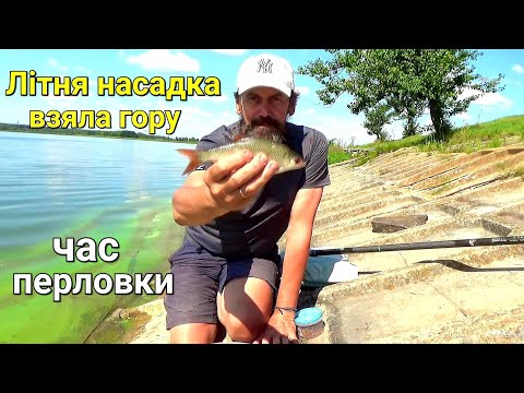 Видео: Риболовля в серпні. Уловиста насадка робить результат.