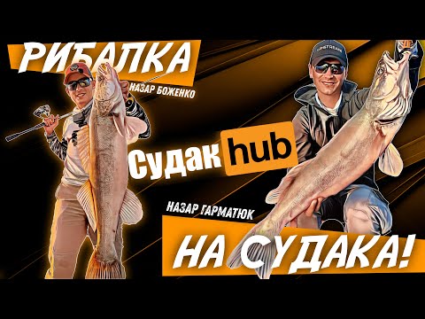 Видео: "СУДАКОВИЙ ХАБ! Як ловити судака? Де ловити судака? | Трофейна рибалка з чемпіоном світу