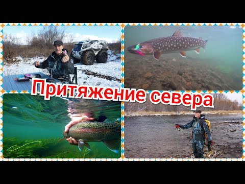 Видео: Притяжение севера