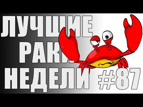 Видео: ЛРН выпуск №87. ЦАРЬ ВО ДВОРЦА и МАСТЕР БЕСКОНТАКТНОГО БОЯ [Лучшие Раки Недели]