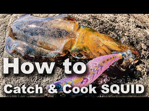 Видео: Советы по ловле кальмаров