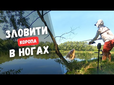 Видео: Ловля коропа в ногах. Рибалка на карпа В АНГЛІЙСЬКОМУ СТИЛІ