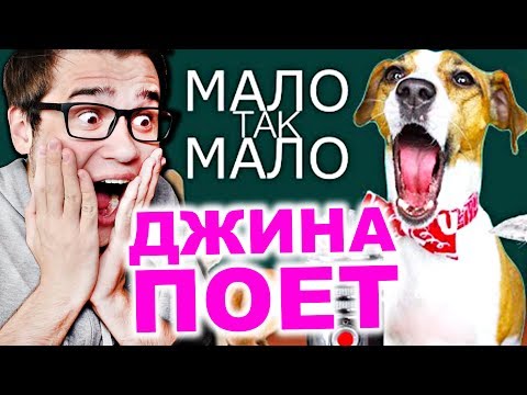 Видео: ДЖИНА ПОЁТ Егор Крид - Мало Так Мало |Elli Di Pets| Реакция на Элли Ди Петс Зверопой