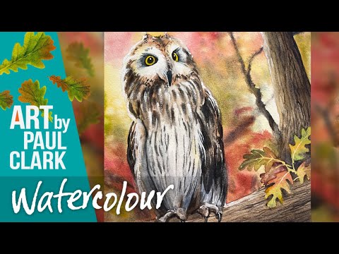 Видео: Как нарисовать сову акварелью