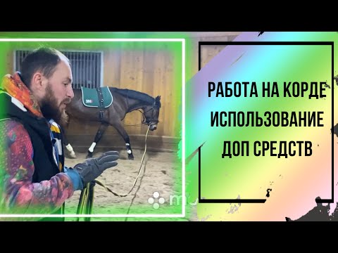 Видео: Работа на корде. Новая лошадь. Использование доп средств.