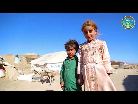 Видео: КЫРГЫЗСТАН АФГАНГИСТАНГА ГУМАНИТАРДЫК ЖАРДАМ КӨРСӨТТҮ