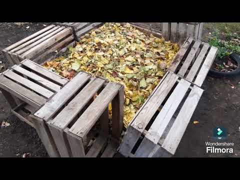 Видео: Як Я Зачеренкував 49 Троянд За Один День - Майстер-Клас!