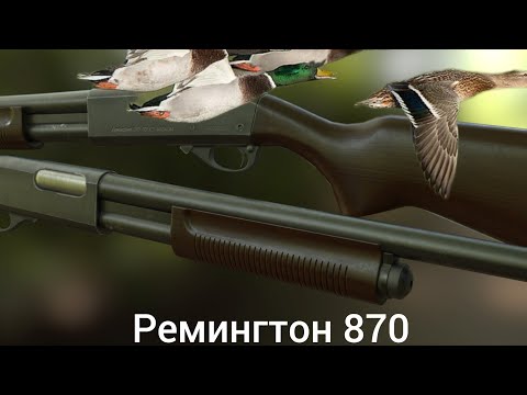 Видео: РЕМИНГТОН 870/REMINGTON 870/ ОХОТА НА УТКУ С ПОМПОВЫМ РУЖЬЕМ.  ОХОТА НА УТКУ 2022