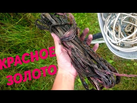 Видео: ГДЕ НАЙТИ МЕДЬ?! ПОИСК МЕДИ НА СВАЛКЕ! КУЧА МЕДНОЙ ПРОВОДКИ + ТОП НАХОДКА СЕЗОНА.