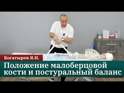 Видео: Положение малоберцовой кости и постуральный баланс. Богатырев Я.Н.