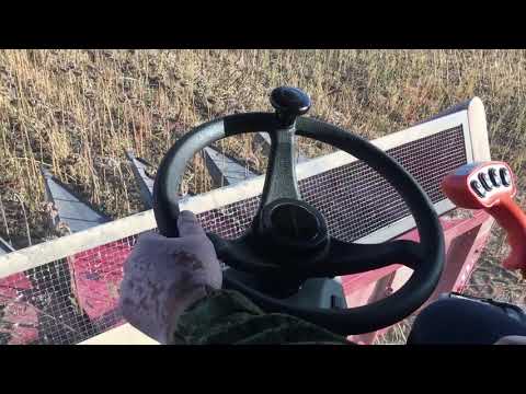 Видео: NOVA 340, жатка НАШ 873-25. Уборка подсолнечника Pioneer Pl-109.