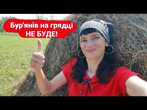 Видео: МУЛЬЧУВАННЯ СВІЖОЮ ТРАВОЮ🌱 5 плюсів та 5 мінусів з нашого власного досвіду