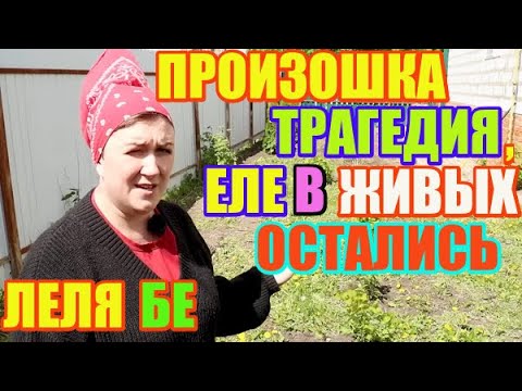 Видео: Леля Бе. Произошла трагедия, еле в живых остались / ДЕРЕВЕНСКИЙ ДНЕВНИК очень многодетной мамы