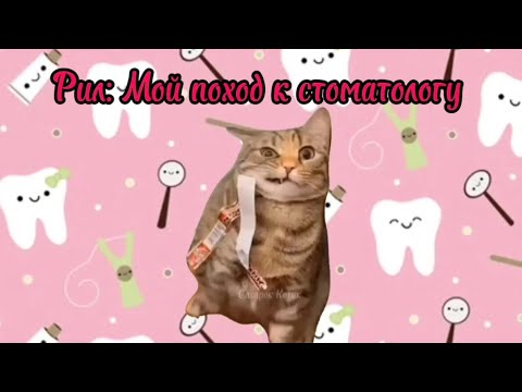 Видео: Рил: Мой поход к стоматологу 🦷. Футажи в моём телеграм канале. Мемы с котами. Смешные котики.