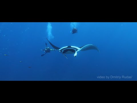 Видео: МАЛЬДИВЫ. Пересекая экватор.