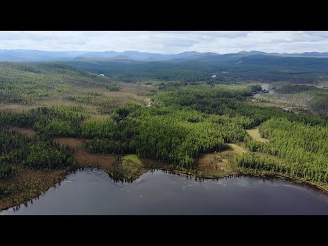 Видео: ТАЙГА 17 RUS | ЗАМАНЧИВЫЙ КРАЙ часть-1