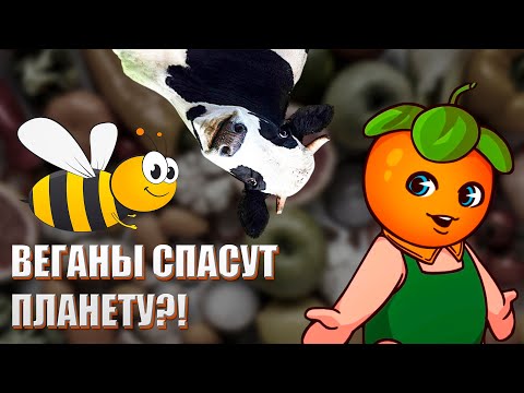 Видео: Веганы спасут планету, но это не точно