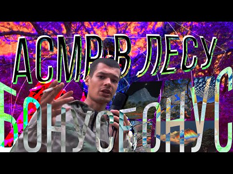 Видео: АСМР В ЛЕСУ 2/2 бонусное видео 🎁