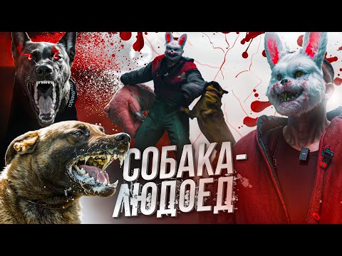 Видео: Собака напала, что делать?