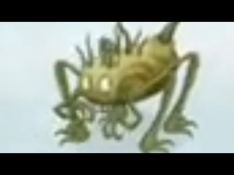 Видео: Wanderer Island, и я его посмотрел! Реакция на МСМ