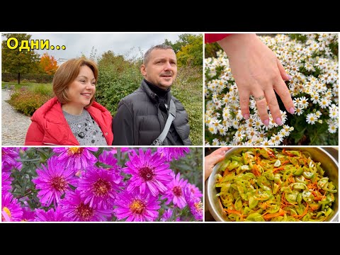 Видео: Скоро долгожданная встреча/ ВМЕСТЕ НАВСЕГДА…/ Салат из зеленых помидоров/ Готово…