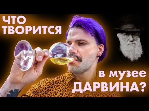 Видео: Выставка в музее Дарвина - "Что было после?"