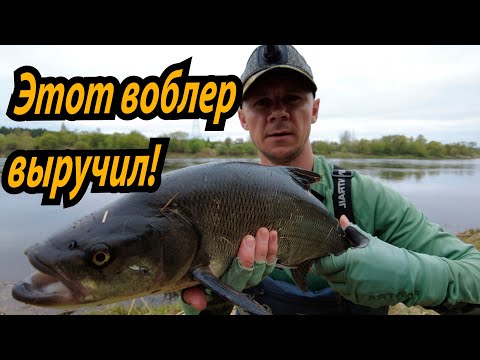 Видео: Этот воблер сместил риджи на 2-ое место!