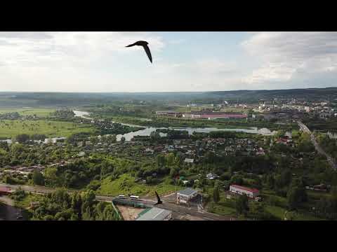 Видео: С пернатыми на прогулке г.Чусовой.