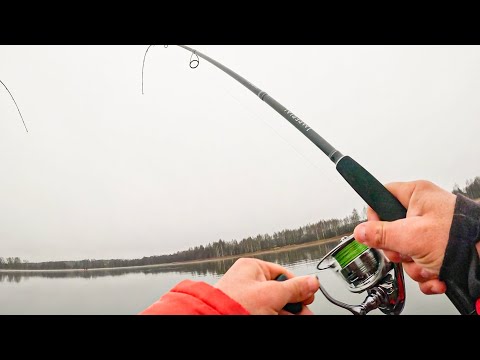 Видео: ЗРЯ Я РАНЬШЕ НЕ ИСПОЛЬЗОВАЛ ЭТУ ПРОВОДКУ на щуку. Рыбалка на спиннинг в 2025