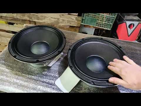 Видео: динамики soundking fb1203h,обзор #колонки #музыка #woodworking #acoustic #динамики #speakers